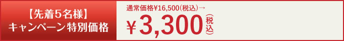 通常価格￥16,500(税込)→キャンペーン特別価格￥3,300(税込)