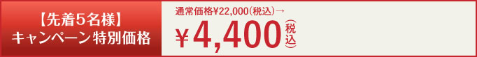 通常価格￥22,000(税込)→キャンペーン特別価格￥4,752(税込)